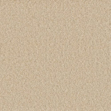 Classic Ivory