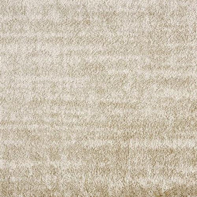 Spirited in Canvas Carpet