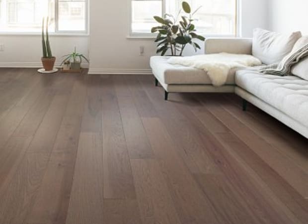 SOLIDIFY I 15' in Minimalist Carpet