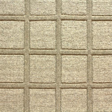 Synergy in Fossil Grey Carpet