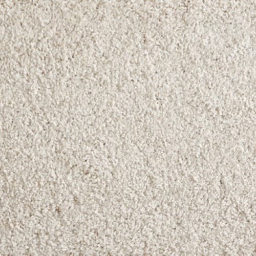 Shaggy Superstar in Bone Carpet