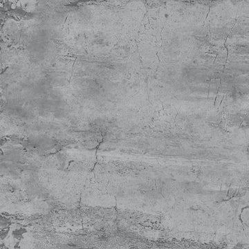 White Anthracite - 12x24