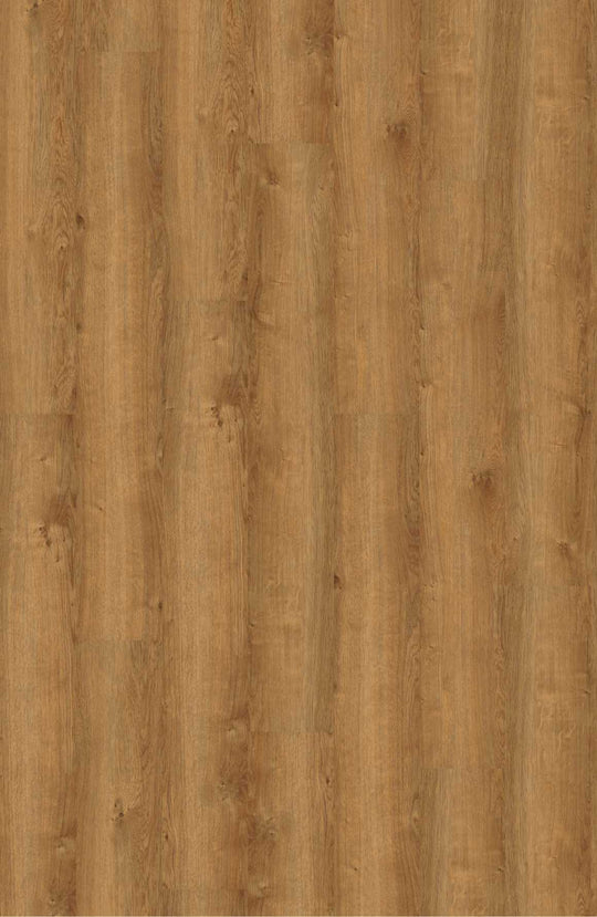 Studio Oak