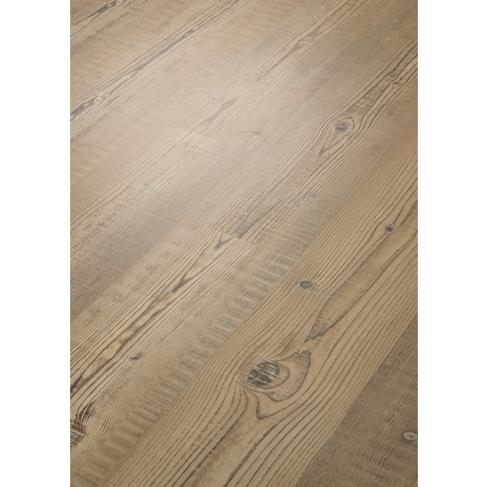 Shaw Industries in ANVIL PLUS Luxury Vinyl