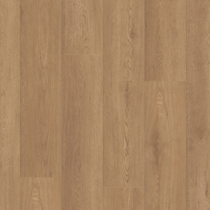 Paragon HD Plus Natural Bevel