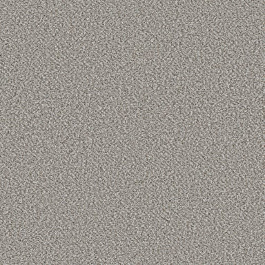 VA251 in Whisper Carpet