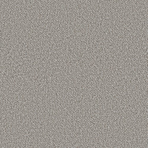 VA251 in Whisper Carpet
