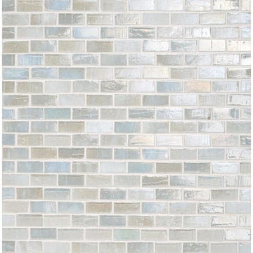 Puka 1/2x1-1/2 Iridescent