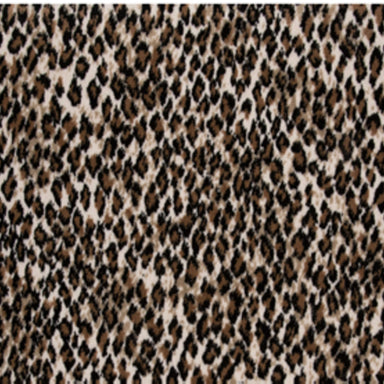 Zaza in Camel Carpet