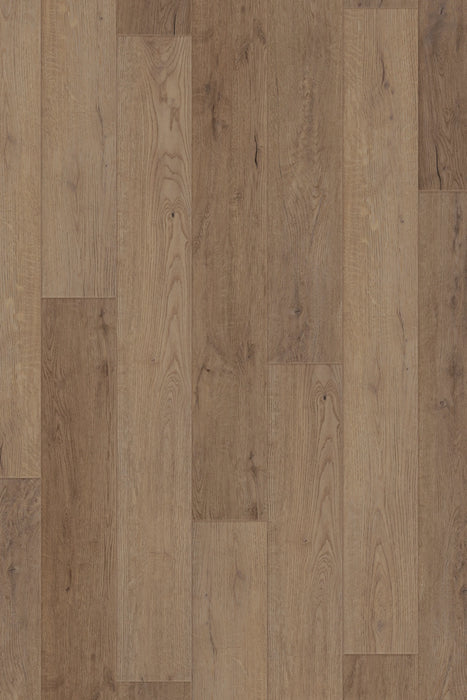 Comfort in Reverie Oak Luxury Vinyl by Canopy Floors #common