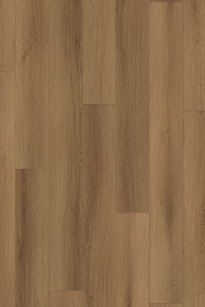 Comfort NE in Truffle Oak Luxury Vinyl by Canopy Floors #common