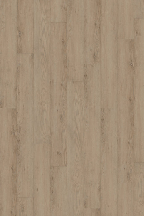 Comfort in Sterling Oak Luxury Vinyl by Canopy Floors #common