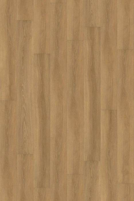 Comfort in Autumn Oak Luxury Vinyl by Canopy Floors #common