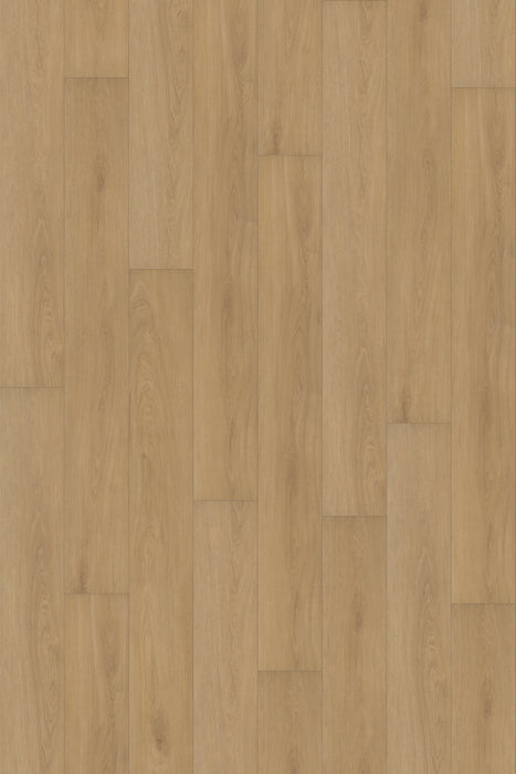 Comfort in Veranda Oak Luxury Vinyl by Canopy Floors #common