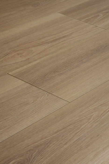 Latte Oak