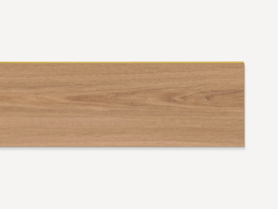 Saddle Oak