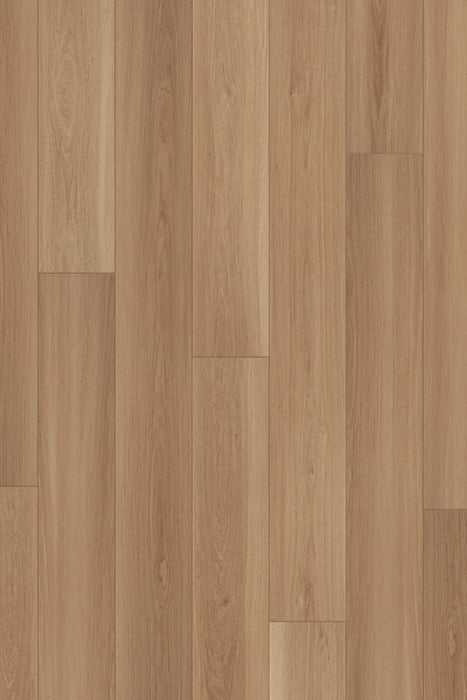 Comfort Premium in Saddle Oak Luxury Vinyl by Canopy Floors #common