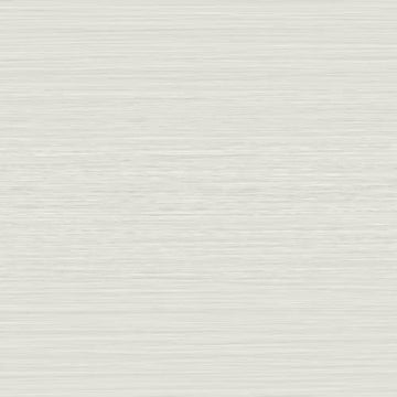 Bianco 12x24 Rectified Matte