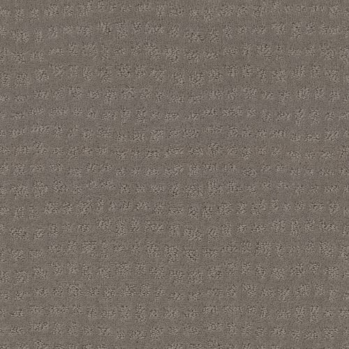 SOLSTICE in Still Gray Carpet