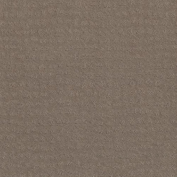 Shitake