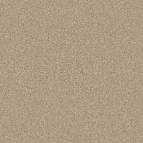 ELEGANT BEAUTY in Buff Carpet