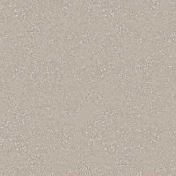 Glacier