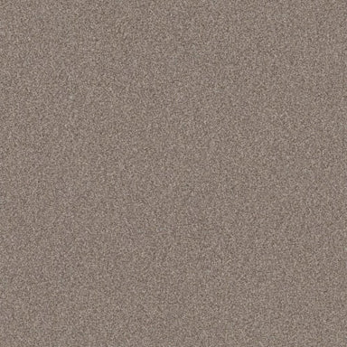 BOSSA NOVA in Pashmina Carpet