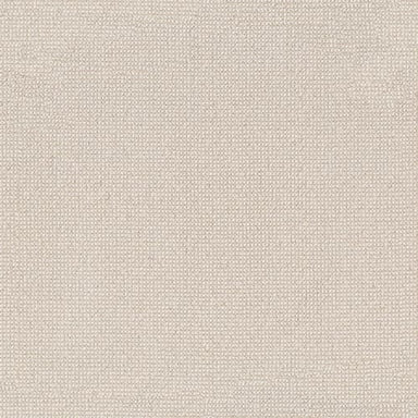 Alluring in Ivory Carpet