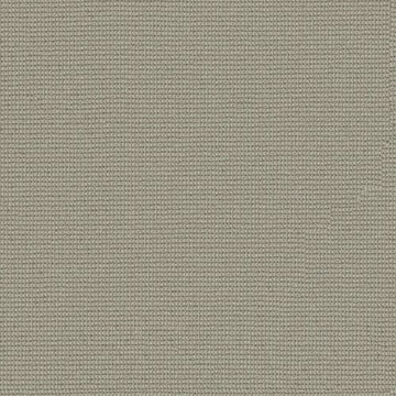 Tin