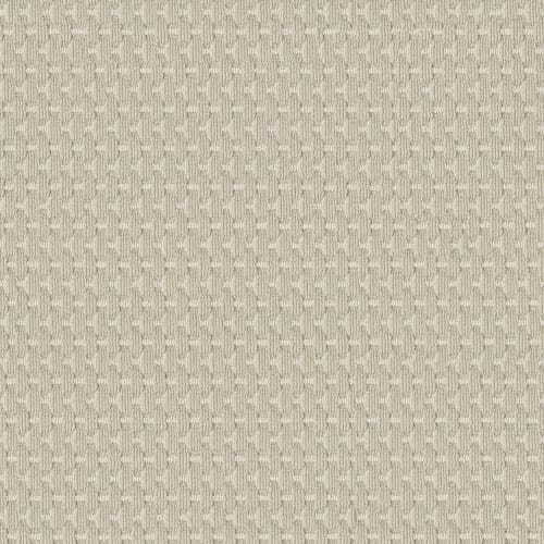 Havencrest in Birchbark Carpet