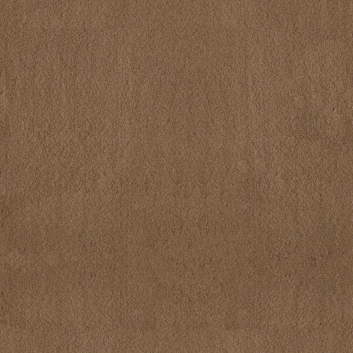 LUXE FEEL II in Dried Chamomile Carpet