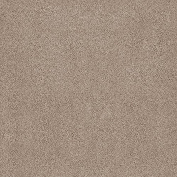 Toasted Grain