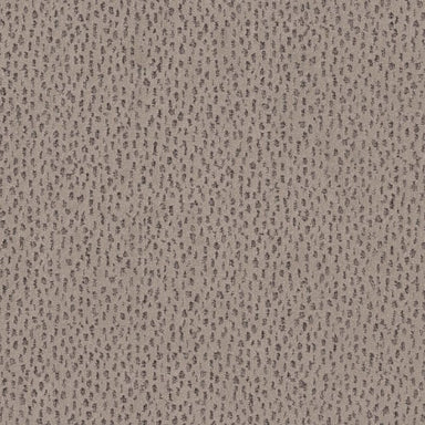 AMBITIOUS in Mocha Carpet