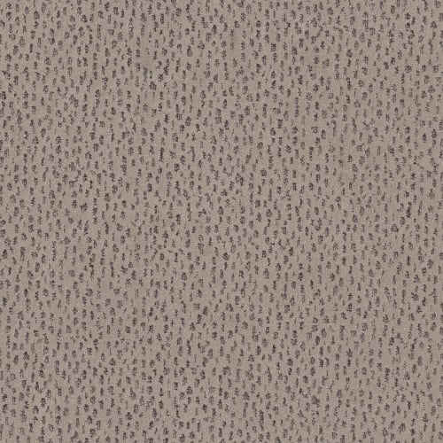 AMBITIOUS in Mocha Carpet