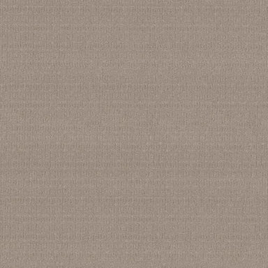 VIGNETTE in Greige Carpet