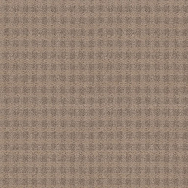 IMAGINATION in Villa Carpet