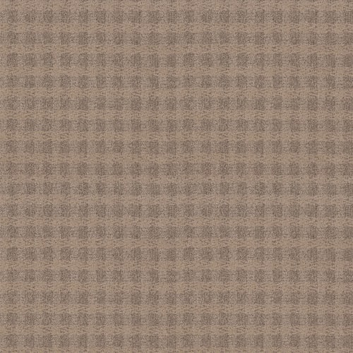 IMAGINATION in Villa Carpet