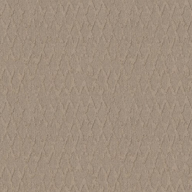 ILLUMINATION in Silhouette Carpet