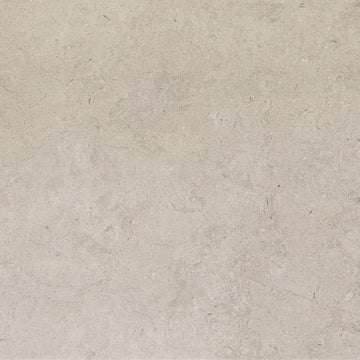 Light Gray 24"x24" Matte