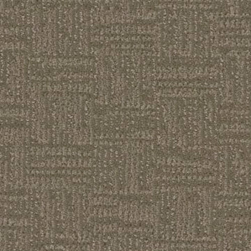 Dusted Bronze