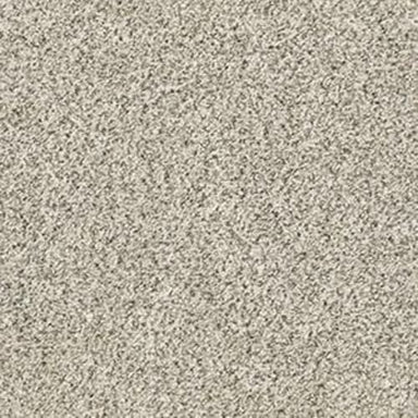 ALL SET I in Atlantic Sand Carpet