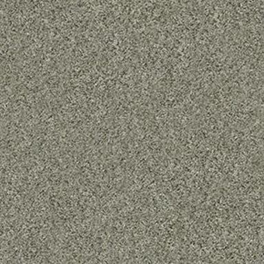 ALL SET II in Beach Walk Carpet