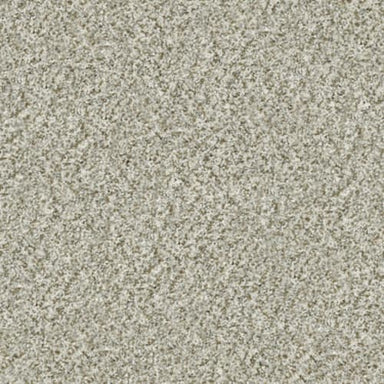 CABANA LIFE (B) in Seashell Carpet