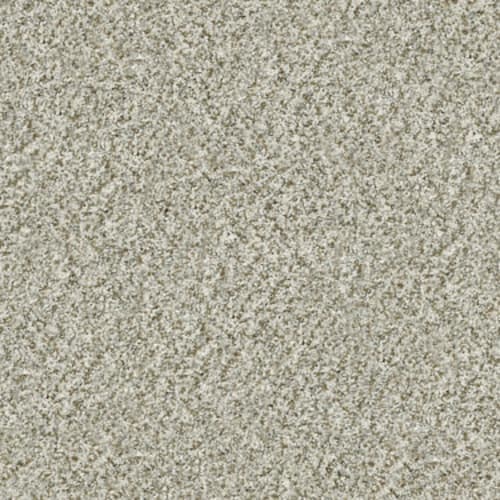 CABANA LIFE (B) in Seashell Carpet