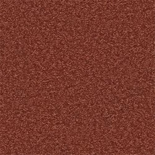 Shingle Creek IV 15' in Spanish Tile Carpet