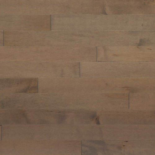 Signature Solid Maple Excel 3.25" in Safari 3.25" Hardwood