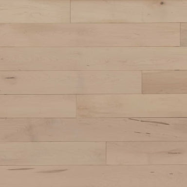 Alta Moda Solid Maple Prestige 3.25" in Chiffon 3.25" Hardwood