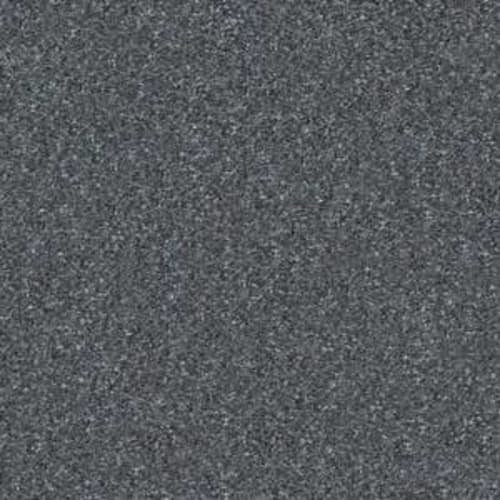 STEP RIGHT UP I 15' in Charcoal Carpet