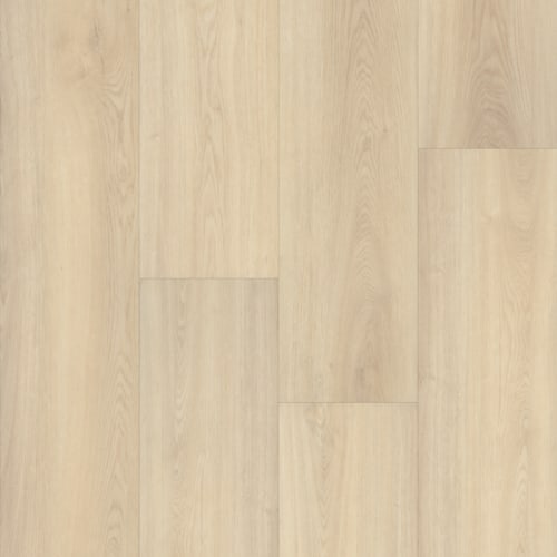 Prime XL 12 Collection