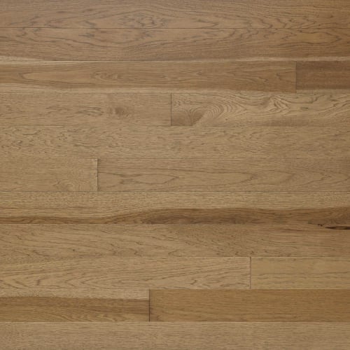 Signature Solid Hickory Excel 2.25" in Sonora Um 2.25" Hardwood